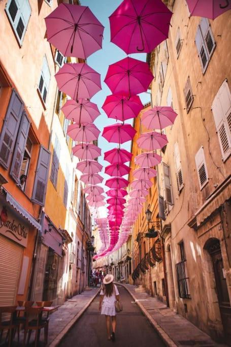 Magnifique De 3 + Parking Apartment Grasse